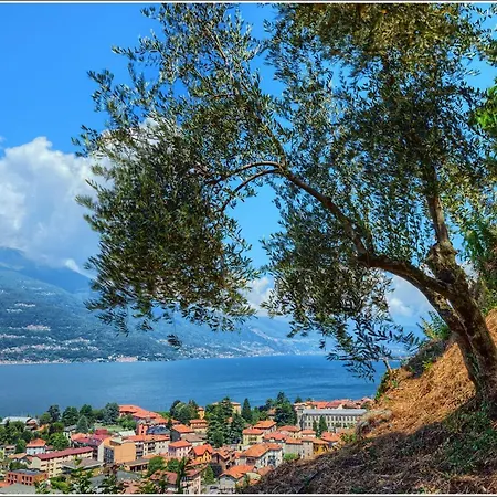 Fantastica Casa Poppo 아파트 *