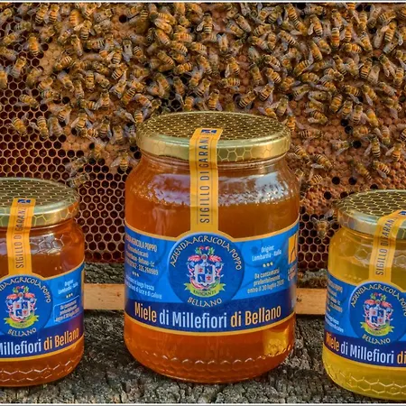 Fantastica Casa Poppo Appartement *