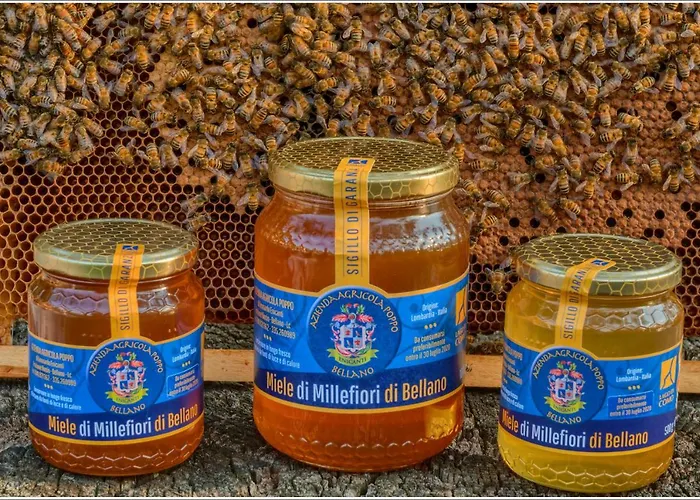 Fantastica Casa Poppo Apartamento *